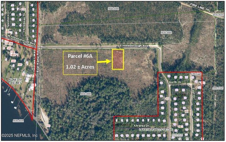 Parcel 6A E Hillsborough Avenue  Florahome FL 32140 photo