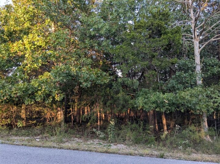 Property Photo: 26 Table Rock Drive AR 72631