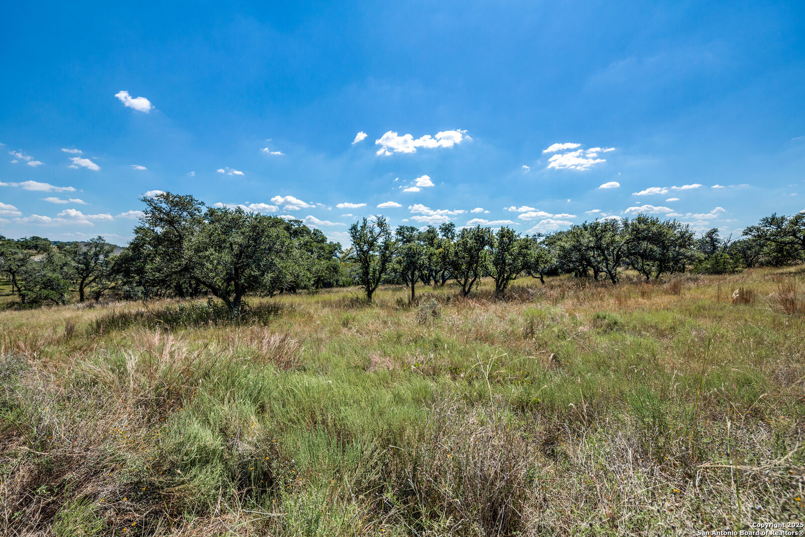 Property Photo: 190 Fallen Acorn TX 78606