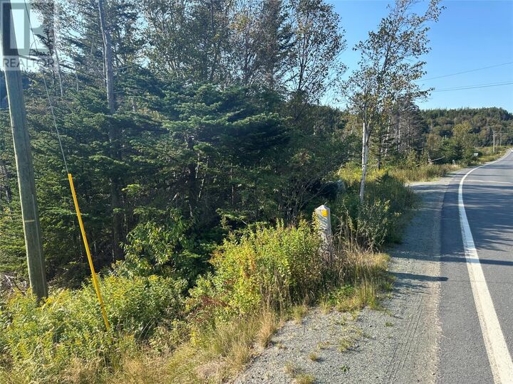 Property Photo:  195 Conception Bay Highway  NL A0A 2Z0 