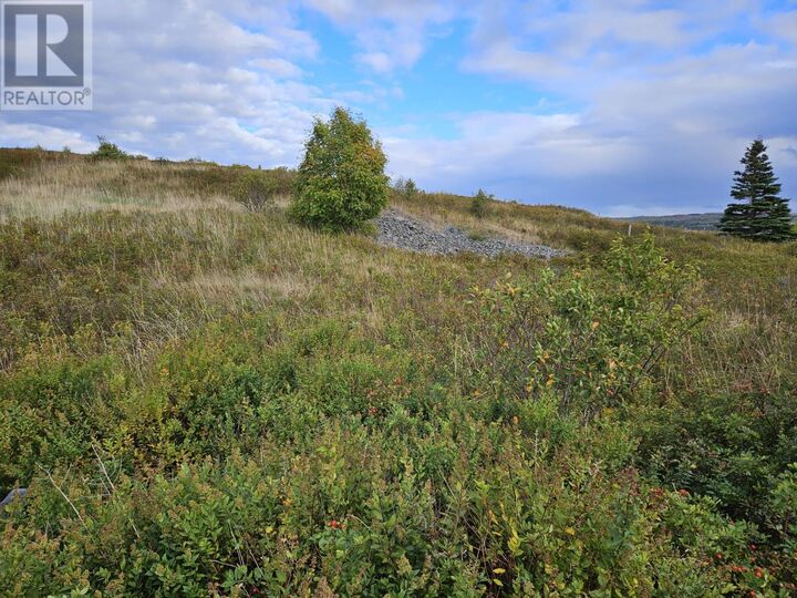 Property Photo:  0 Bareneed Road  NL A0A 1W0 