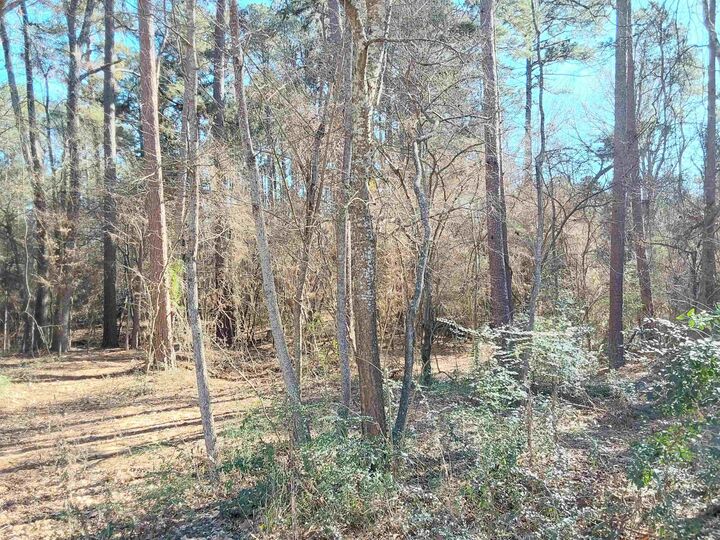 Property Photo:  Tbd Sh 149  TX 75691 