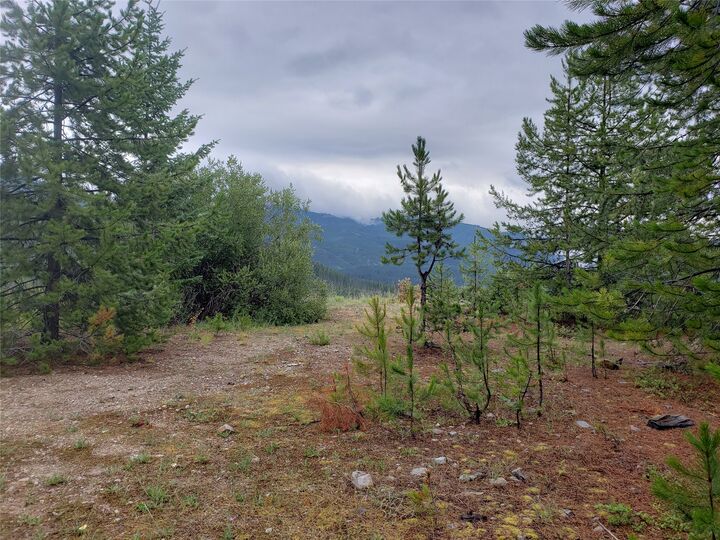 Property Photo:  Lot 19 Nine Mile Road  MT 59846 