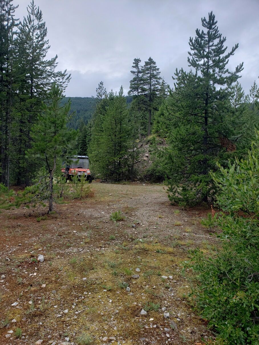 Property Photo:  Tract 20 Nine Mile Road  MT 59846 
