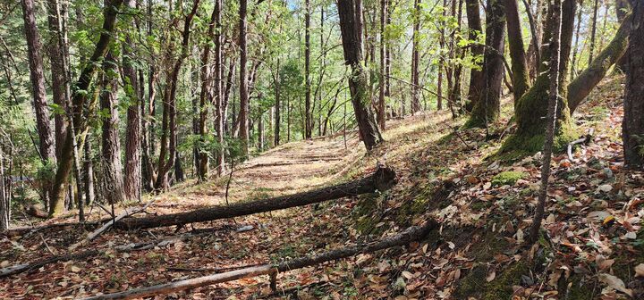 Property Photo: Pinecrest Drive OR 97526