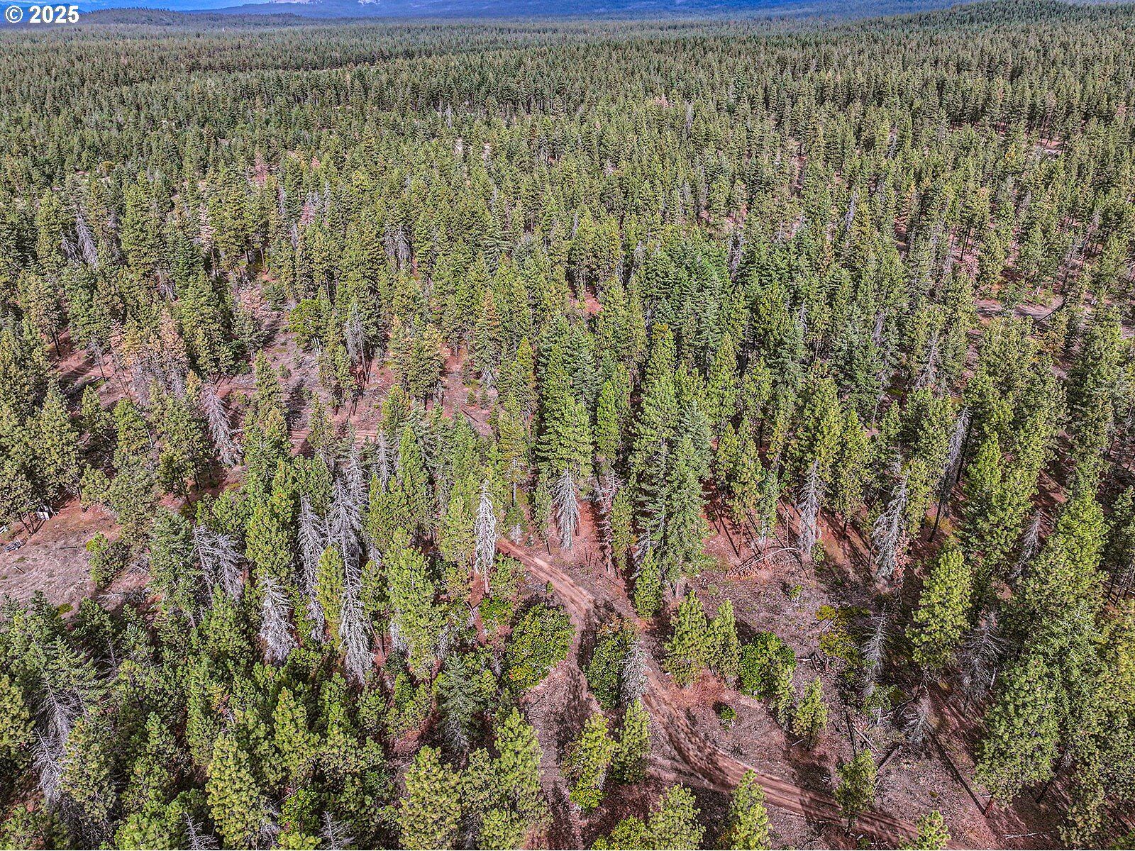 Property Photo:  68 Matola Rd  WA 98620 