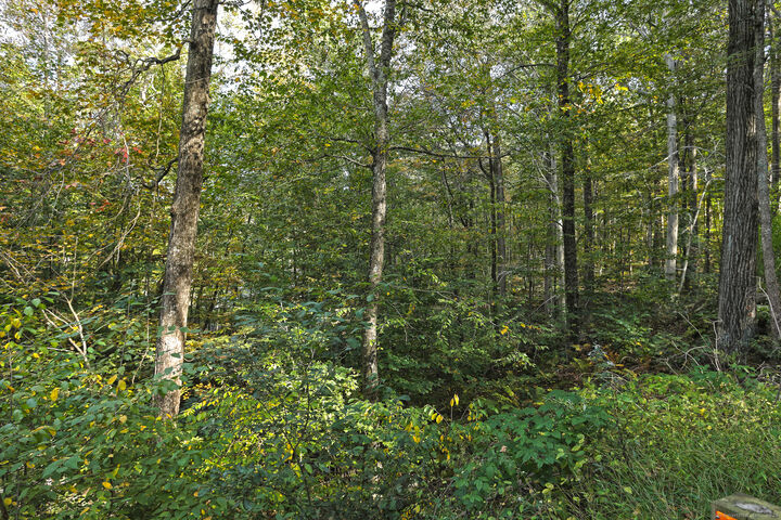 Property Photo:  6 Park Road  CT 06478 