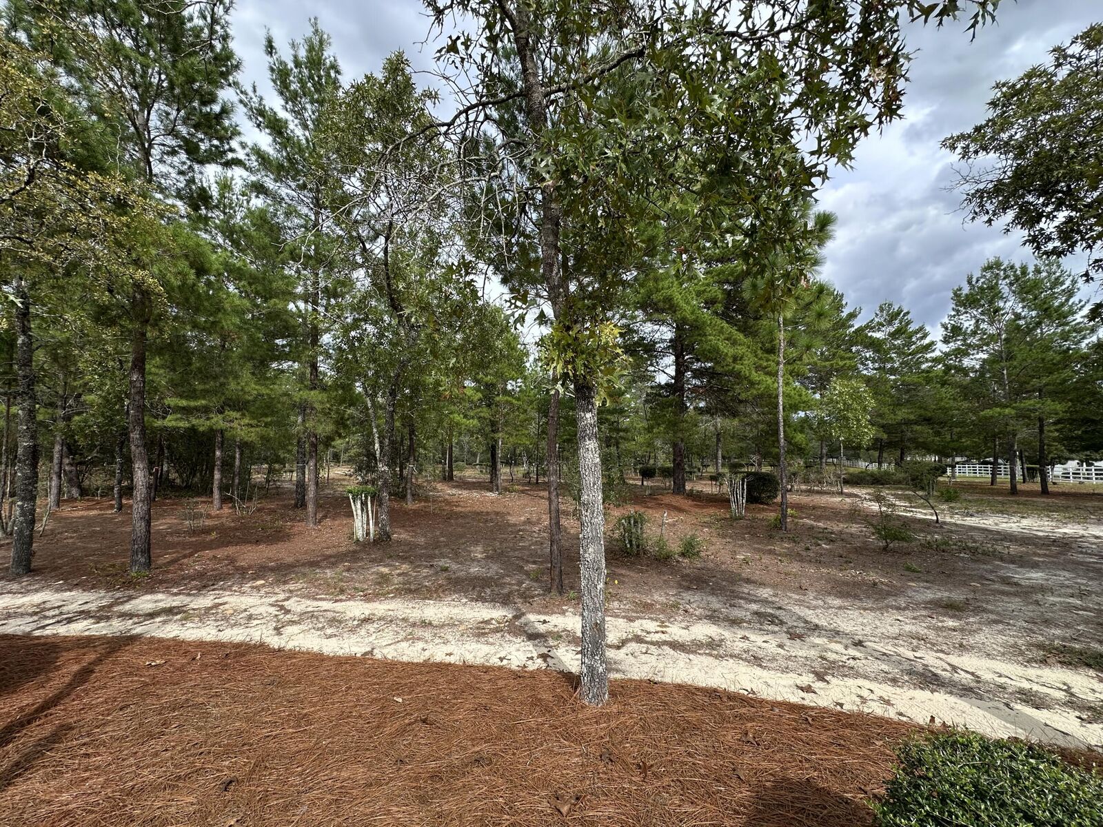 Property Photo: 325 Blackfoot Drive FL 32433