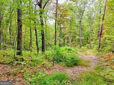 Property Photo: Lot 30 Skyview Drive NC 28904