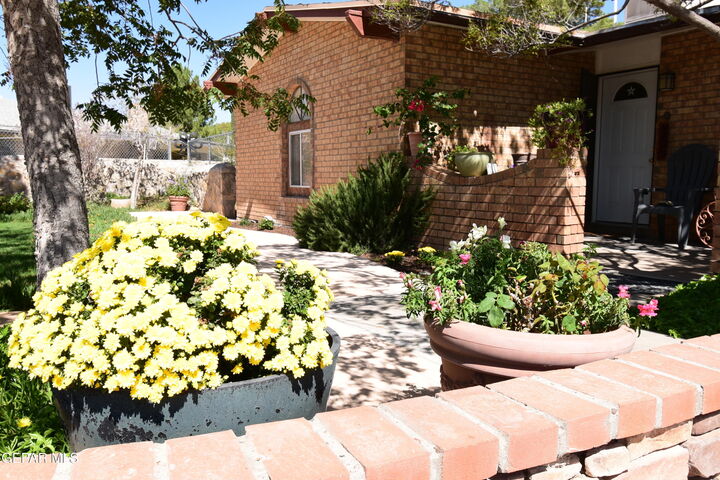 Property Photo: 3108 3108 Rock Wall Ln Tx Lane TX 79936