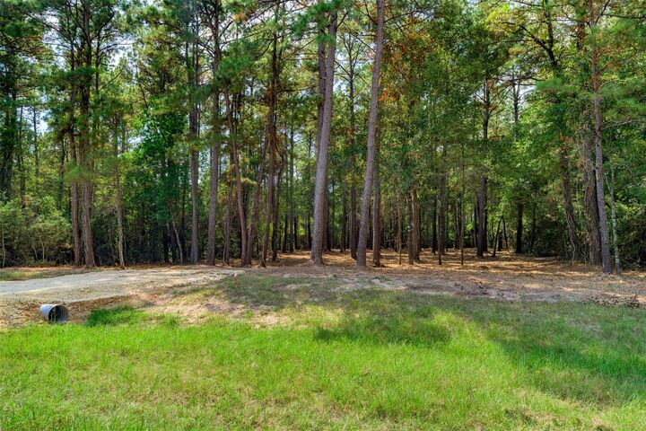 Property Photo:  17526 E Terrace Oaks Drive  TX 77484 