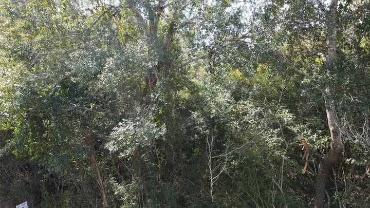 Property Photo:  0 Clear Creek Drive  TX 77447