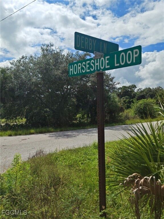 Property Photo:  1510 Horseshoe Loop  FL 33471 