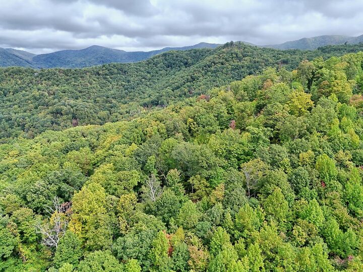 Property Photo:  Lot 21 Skyview Overlook  NC 28904 