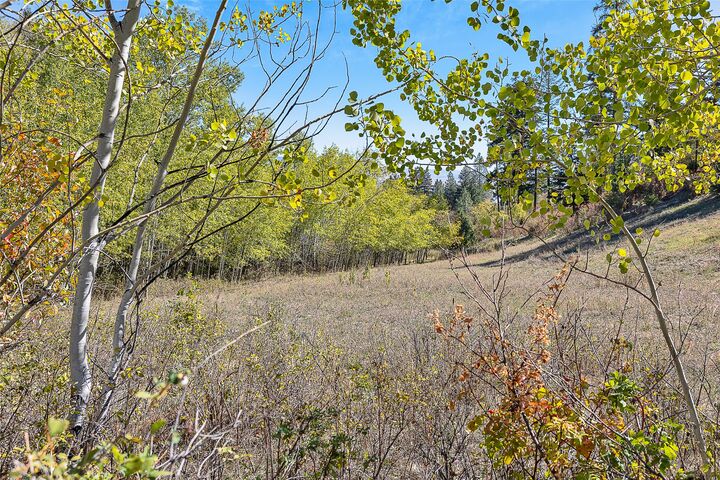 Property Photo:  000 McClain Creek Meadows  MT 59833 