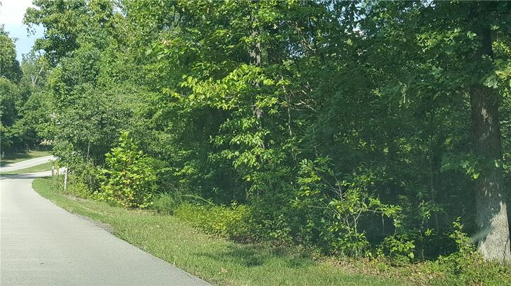 Property Photo:  Versailles Drive  AR 72619 