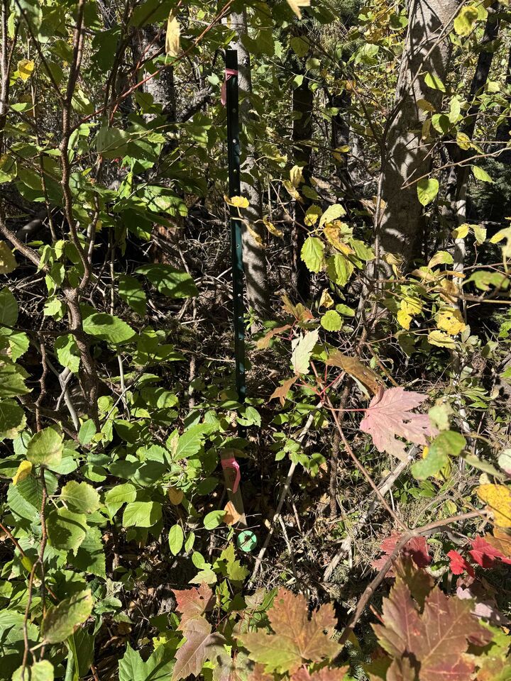Property Photo:  Lot 21-2 Black River Road  PE C0A 1P0 