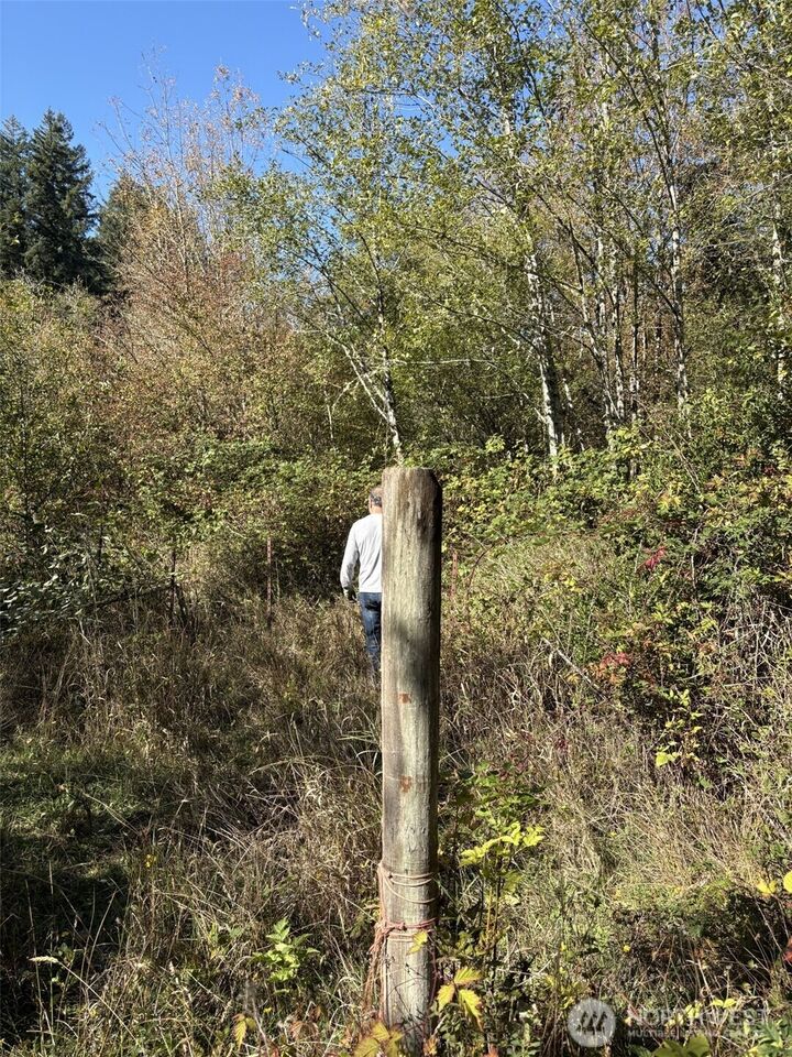 Property Photo: 0 219th Avenue SW WA 98531