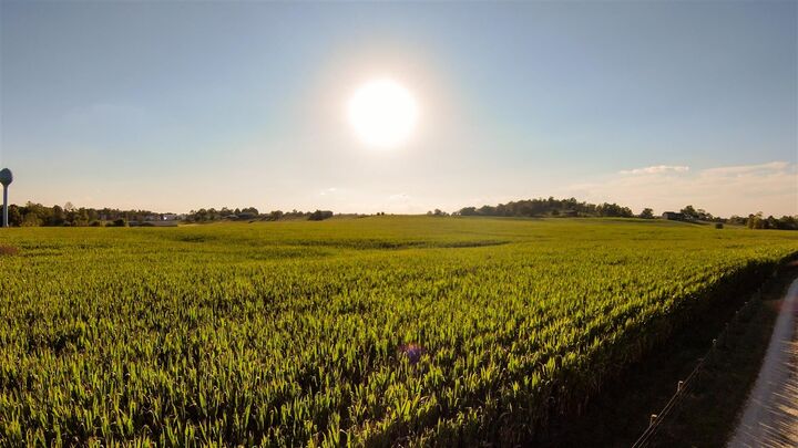 Property Photo:  100 Longfall Road  KY 42726