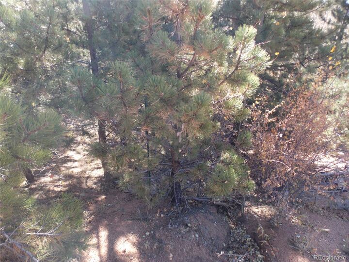 Property Photo:  1944 May Queen Drive  CO 80813 