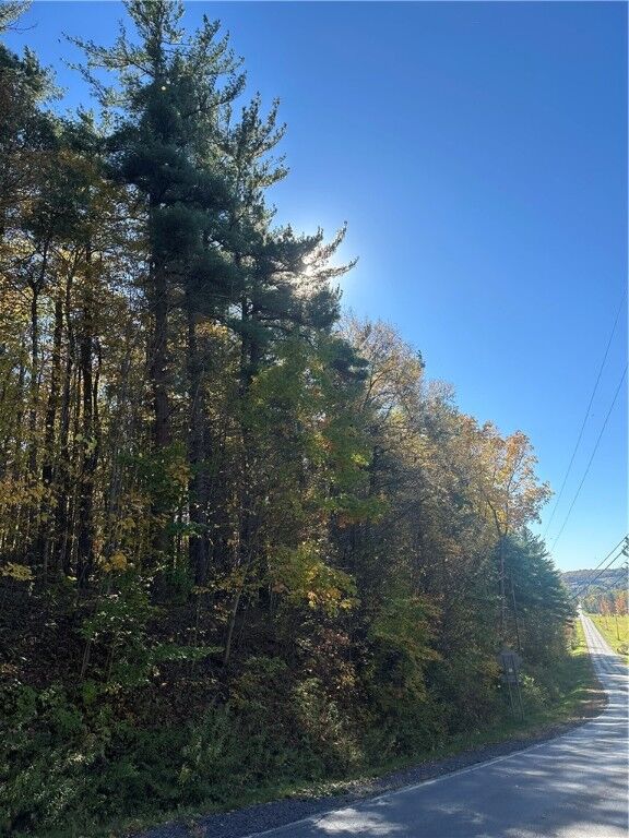 Property Photo: 129 Hornbrook Road NY 14850