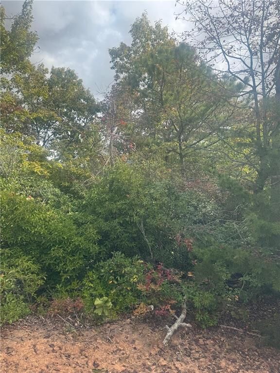 Property Photo: Lot 16 Brown Hawk Drive GA 30525