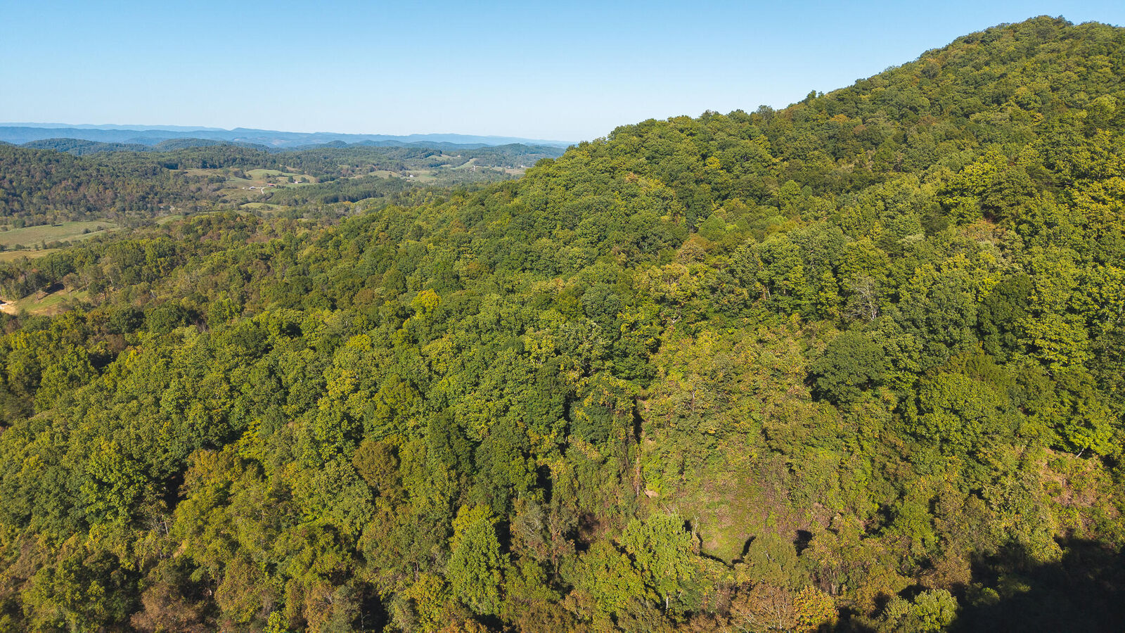 Property Photo:  69.26 Acre Wolfe Road  TN 37869 