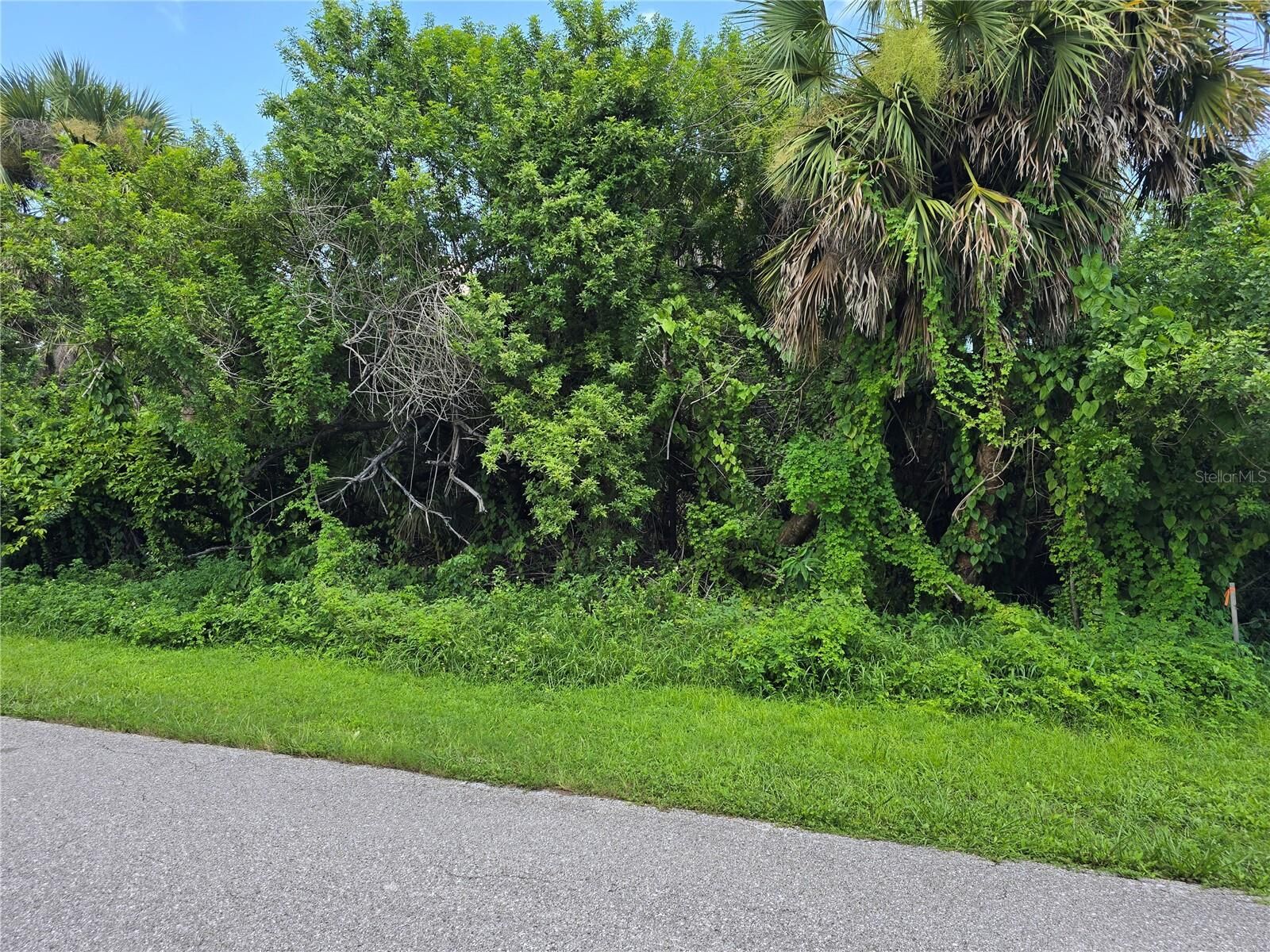 Property Photo:  4048 Gallo Street  FL 33948 