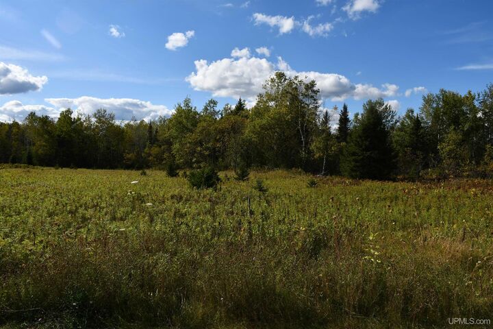 Property Photo:  Lot #14 Northwoods Lane  MI 49834 