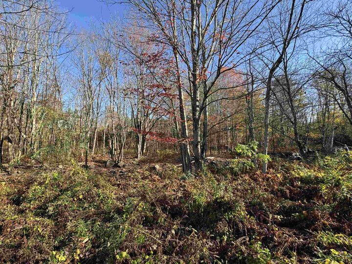 Property Photo:  0 Route 25C  NH 03779 