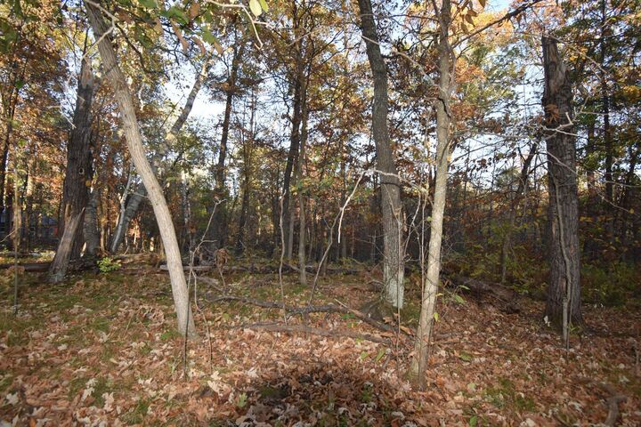 Property Photo: Tbd Ranchette Drive MN 56472
