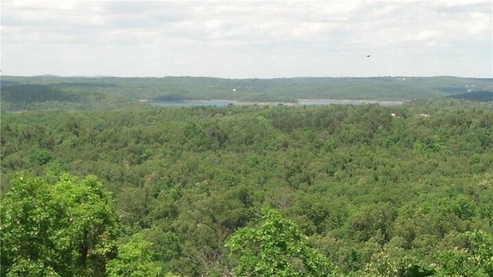 Property Photo:  Part Of Lot 10 Mc 8072  AR 72634 