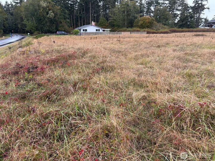 Property Photo: 0 Monterey Street WA 98239