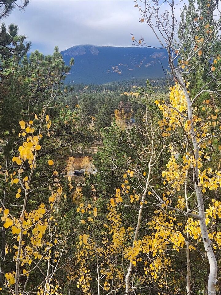 Property Photo: 72 Hall Road CO 80421