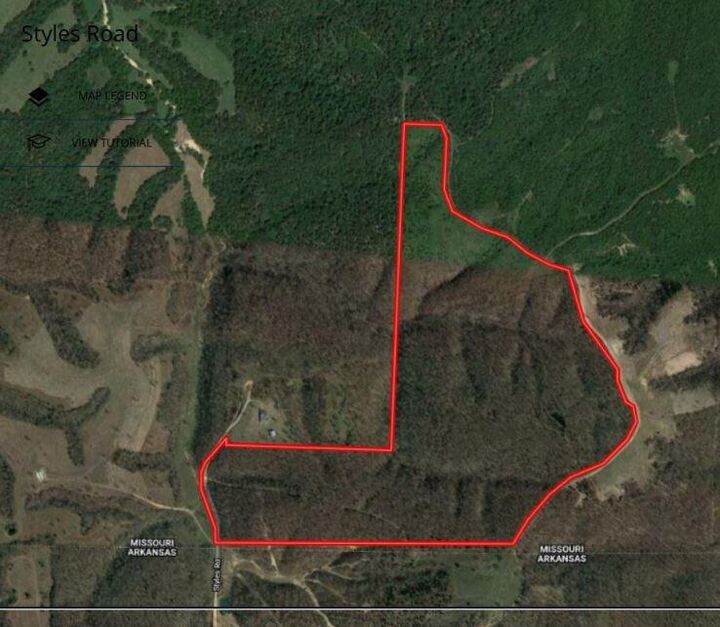 Property Photo: Tract 8 Styles Road MO 64854