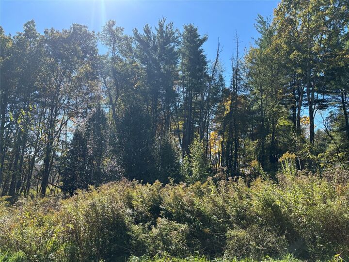Property Photo: 00 Sunnyside Drive S NY 13827