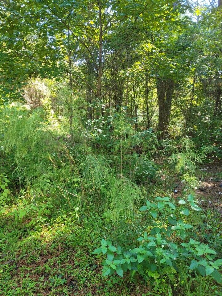 Property Photo: 2814 Highway 174 SC 29438