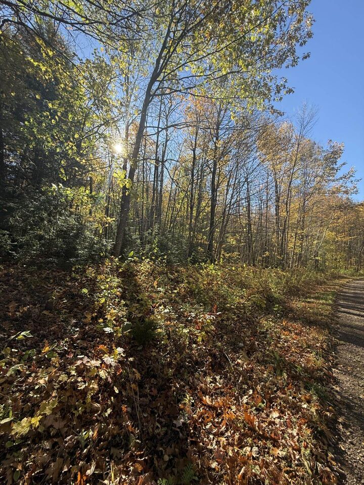 Property Photo: 0000 Ashland Bayfield Rd WI 54806