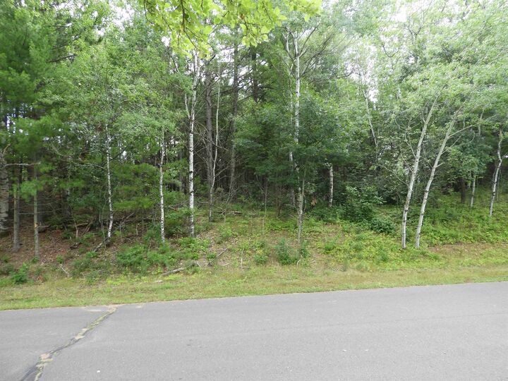 Property Photo: 27xx Ellison Lake Rd WI 54873