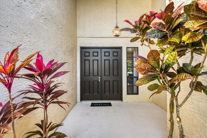 Property Photo:  3497 Birchwood Court  FL 34684 