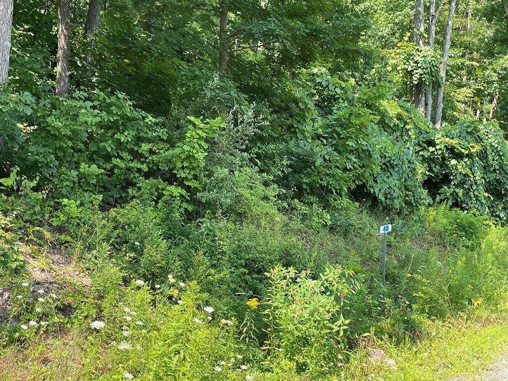 Property Photo: Lot 48A Hemlock Hills Rd PA 18848