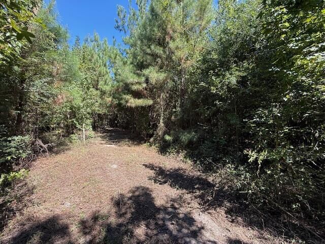 Property Photo:  State Rte 1146  LA 70634 