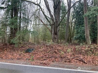 0 Tbd  112th Avenue SE  Auburn WA 98092 photo