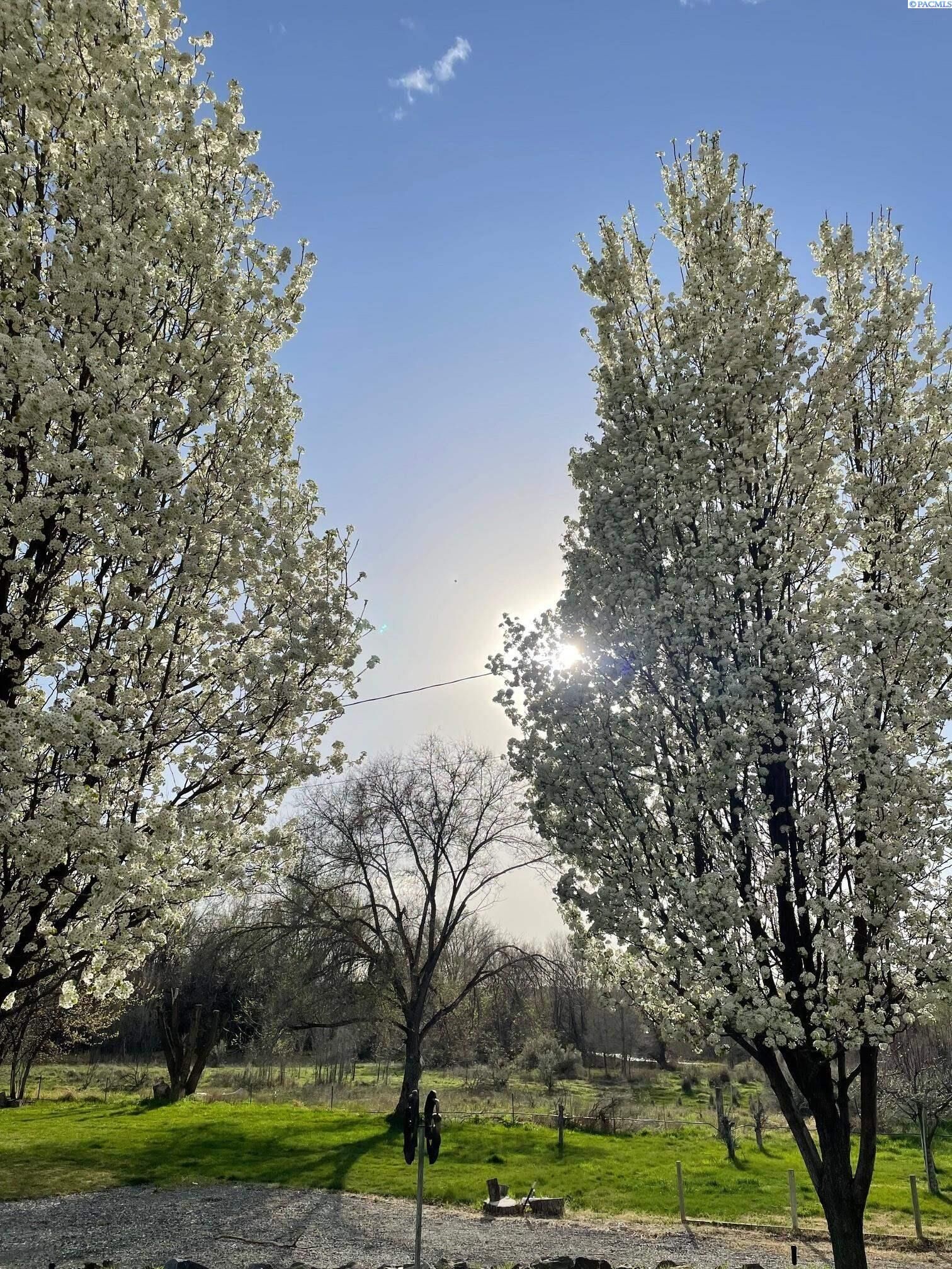 Property Photo: 2975 Hyde Road WA 99354
