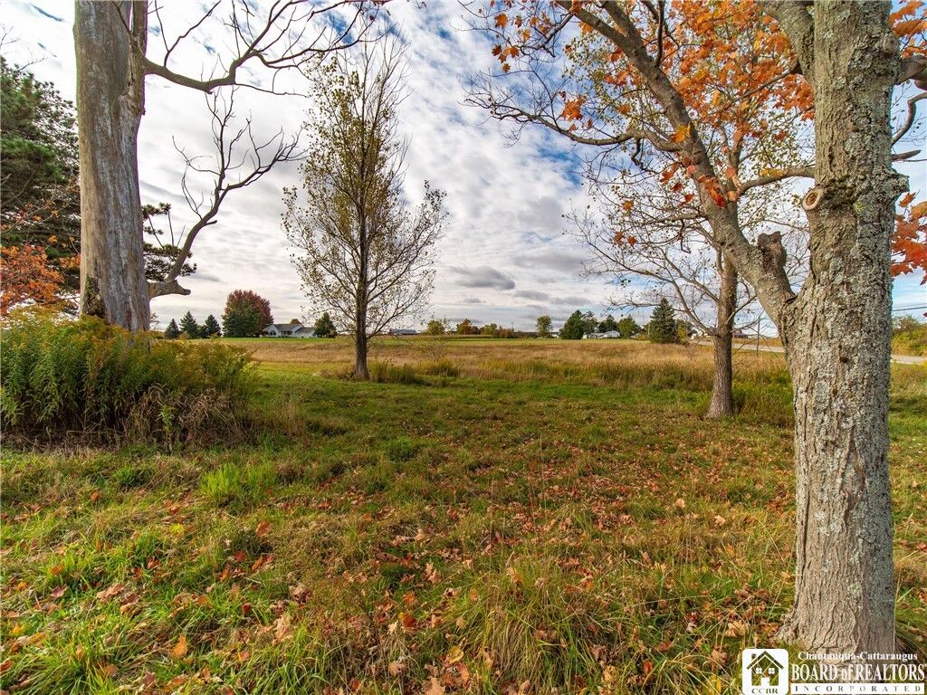 Property Photo: 9120 Fredonia Stockton Road NY 14063