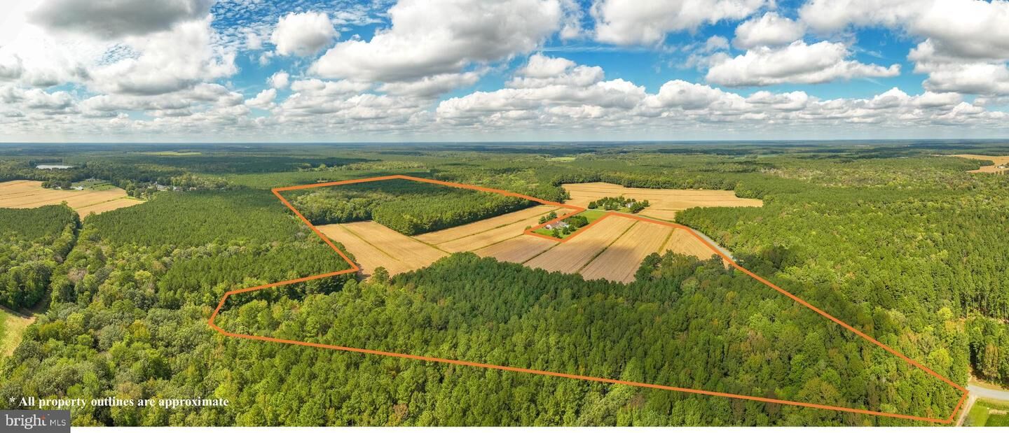 Property Photo:  0 Bob Smith Road  MD 21849 