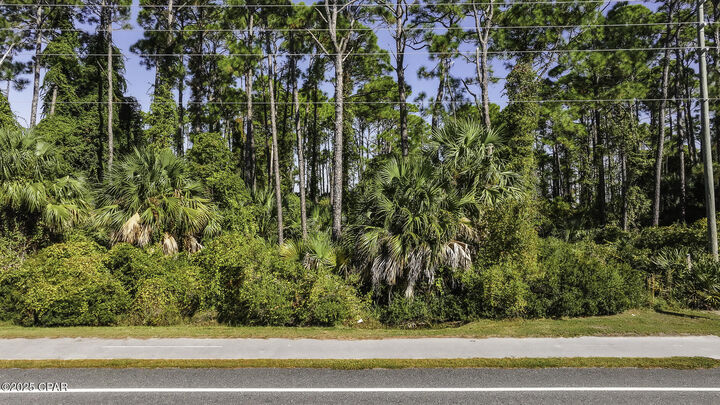 Property Photo:  Tbd Cape San Blas Rd  FL 32456 