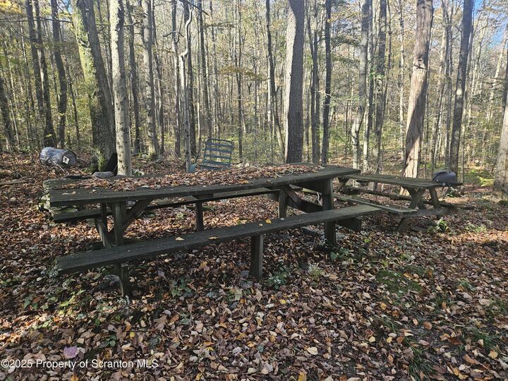 Property Photo:  Gas Hollow Road  PA 18463 