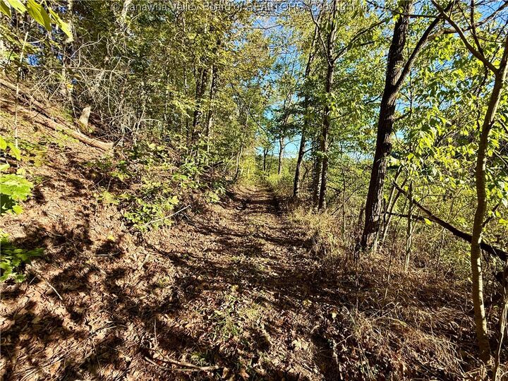 0 Harmons Creek Road  Poca WV 25159 photo