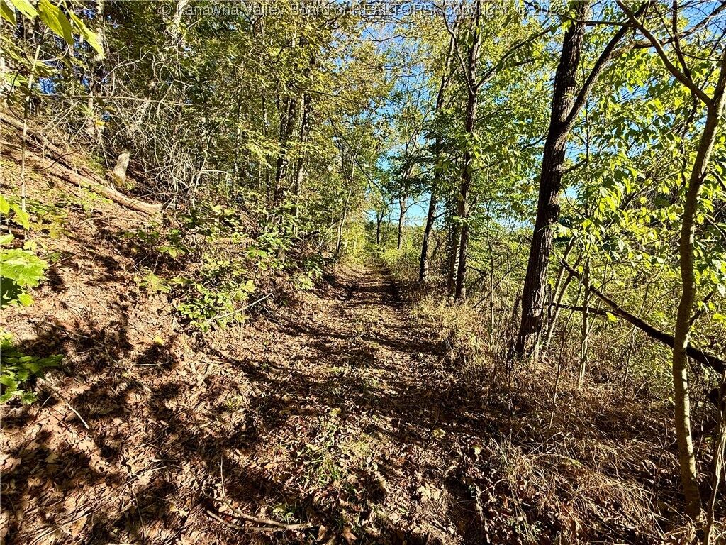 Property Photo: 0 Harmons Creek Road WV 25159